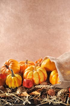 Thanksgiving - various pumpkins in jute sack on straw with text space against a brown background