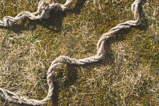 Old rope lies on the green grass