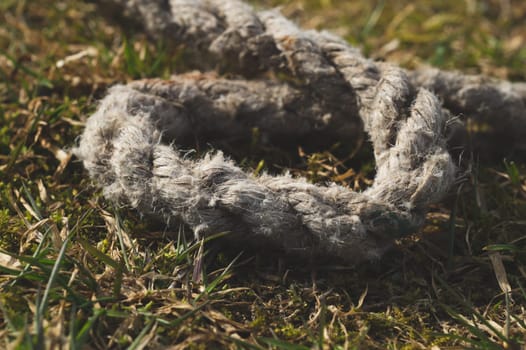 Old rope lies on the green grass. marine equipment