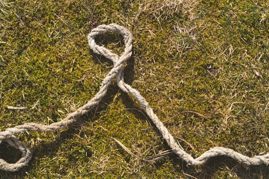 Old rope lies on the green grass