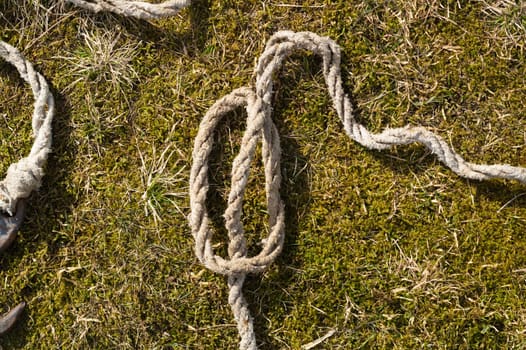 Old rope lies on the green grass. marine equipment