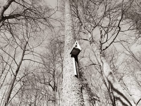 Birdhouse on a tree trunk black and white
