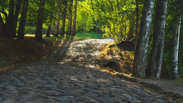 Stone paved path in the park. forest landscape. cobblestone walkway