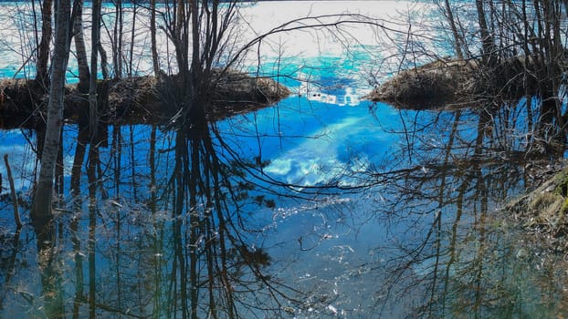 Dry branches of plants over blue water surface with sky reflection