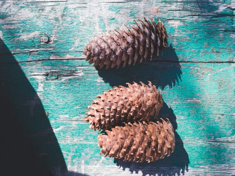Pine cones on the blue painted wood background