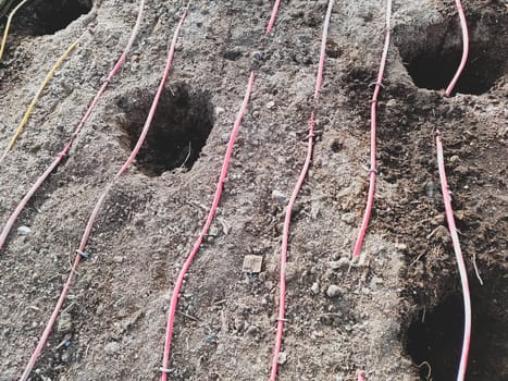 Holes in the soil for planting plants. gardening works