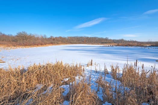 Wetland Marsh in Winter in Volo Bog State Natural Area in Illinois