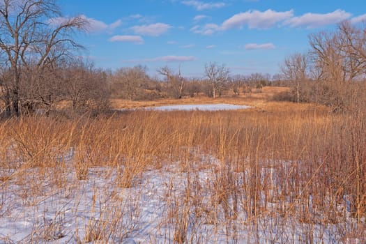 Grasslands and Wetlands in the Winter in Volo Bog State Natural Area in Illinois