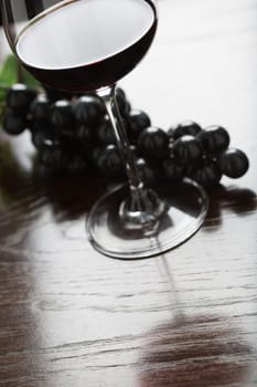 Abstract Wine Glass and Grapes on a Reflective Wood Surface.