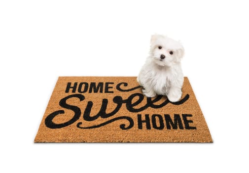 Maltese Puppy Sitting on Home Sweet Home Welcome Mat Isolated on White.