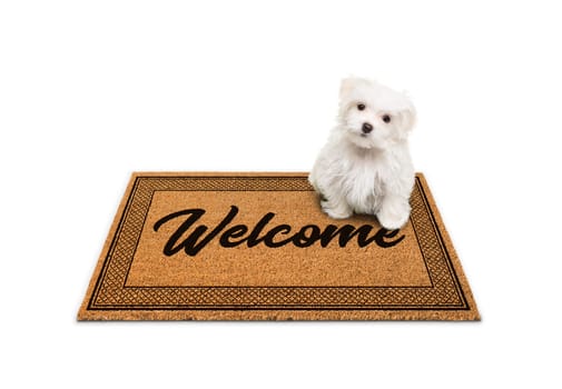 Maltese Puppy Sitting on Welcome Mat Isolated on White.