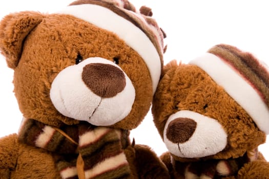 Teddy bear stodui shot