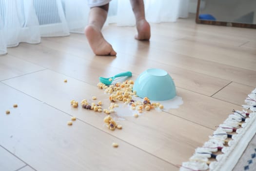Cereal spills across a wooden floor, creating a disordered environment.
