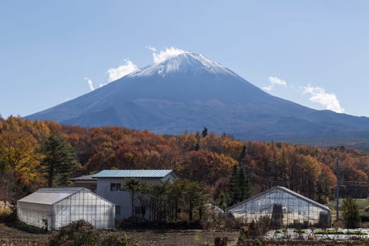 This photo was shot from the area around Mt.Fuji in Autumn. It is time to start snow cap on the top of Mt.Fuji. There are 5 lake around Mt.Fuji.