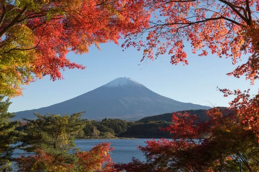This photo was shot from the area around Mt.Fuji in Autumn. It is time to start snow cap on the top of Mt.Fuji and maple leaves change to autumn color. There are 5 lakes around Mt.Fuji.