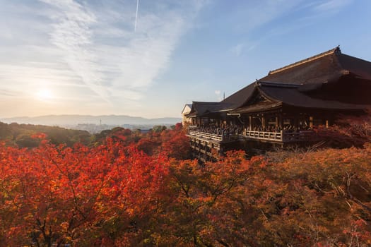 This photo was shot from Kiyomizu Temple in Kyoto, Japan. The maple leaves change to autumn color and the soft sunlight in the evening is so beautiful.