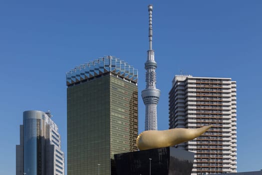 This photo was shot from Tokyo city which is the capital city of Japan. Tokyo is one of the big and busy city in the world but aslo the most beautiful. The japanese also nice.