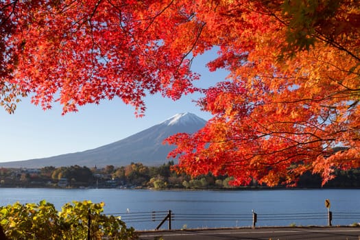 This photo was shot from the area around Mt.Fuji in Autumn. It is time to start snow cap on the top of Mt.Fuji and maple leaves change to autumn color. There are 5 lakes around Mt.Fuji.
