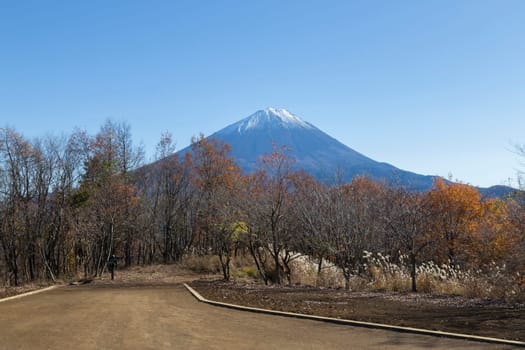 This photo was shot from the area around Mt.Fuji in Autumn. It is time to start snow cap on the top of Mt.Fuji. There are 5 lake around Mt.Fuji.