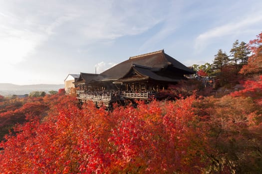 This photo was shot from Kiyomizu Temple in Kyoto, Japan. The maple leaves change to autumn color and the soft sunlight in the evening is so beautiful.
