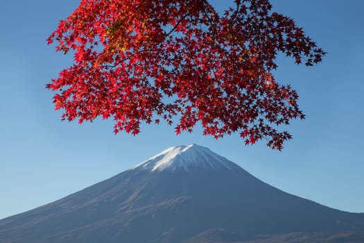 This photo was shot from the area around Mt.Fuji in Autumn. It is time to start snow cap on the top of Mt.Fuji and maple leaves change to autumn color. There are 5 lakes around Mt.Fuji.