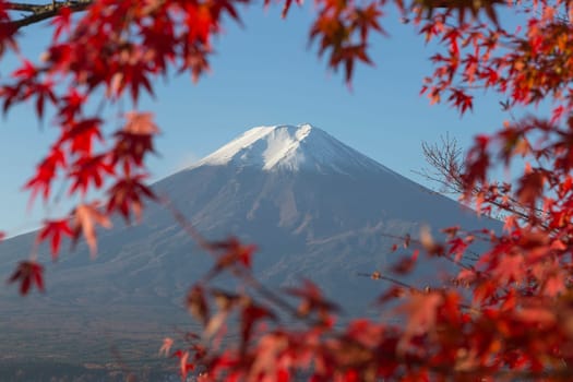 This photo was shot from the area around Mt.Fuji in Autumn. It is time to start snow cap on the top of Mt.Fuji. There are 5 lake around Mt.Fuji.