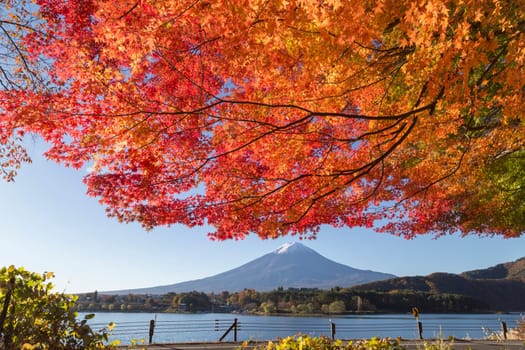 This photo was shot from the area around Mt.Fuji in Autumn. It is time to start snow cap on the top of Mt.Fuji and maple leaves change to autumn color. There are 5 lakes around Mt.Fuji.