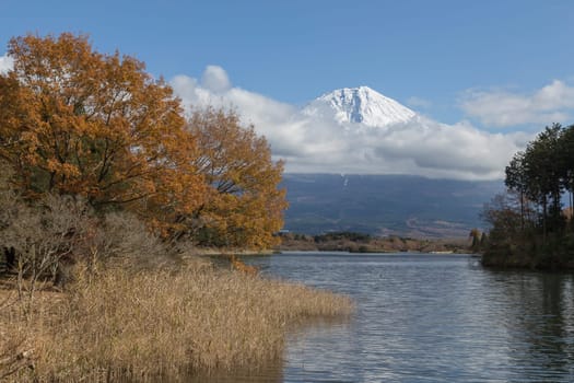 This photo was shot from the area around Mt.Fuji in Autumn. It is time to start snow cap on the top of Mt.Fuji. There are 5 lake around Mt.Fuji.