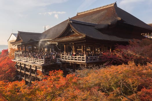 This photo was shot from Kiyomizu Temple in Kyoto, Japan. The maple leaves change to autumn color and the soft sunlight in the evening is so beautiful.