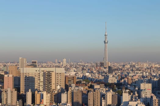 This photo was shot from Tokyo city which is the capital city of Japan. Tokyo is one of the big and busy city in the world but aslo the most beautiful. The japanese also nice.