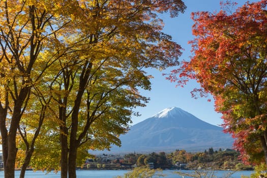 This photo was shot from the area around Mt.Fuji in Autumn. It is time to start snow cap on the top of Mt.Fuji and maple leaves change to autumn color. There are 5 lakes around Mt.Fuji.