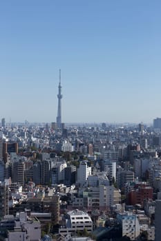 This photo was shot from Tokyo city which is the capital city of Japan. Tokyo is one of the big and busy city in the world but aslo the most beautiful. The japanese also nice.
