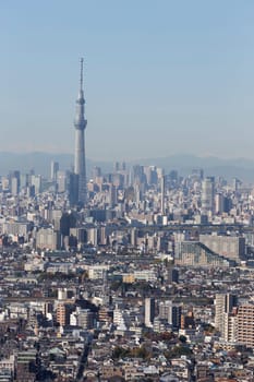 This photo was shot from Tokyo city which is the capital city of Japan. Tokyo is one of the big and busy city in the world but aslo the most beautiful. The japanese also nice.