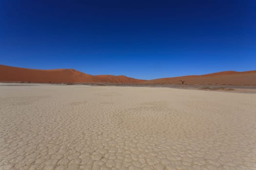 panorama with red dunes from Hidden Vlei, Sossusvlei Namibia