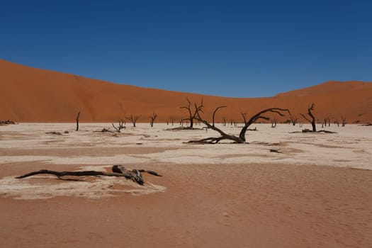 A view from Dead Vlei, Sossusvlei Namibia