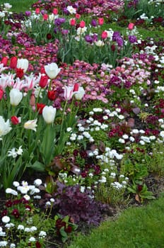Flowerbed