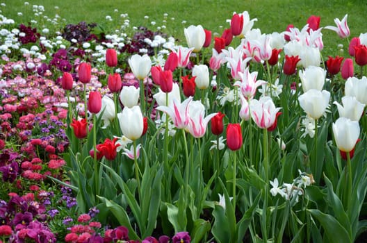 Flowerbed