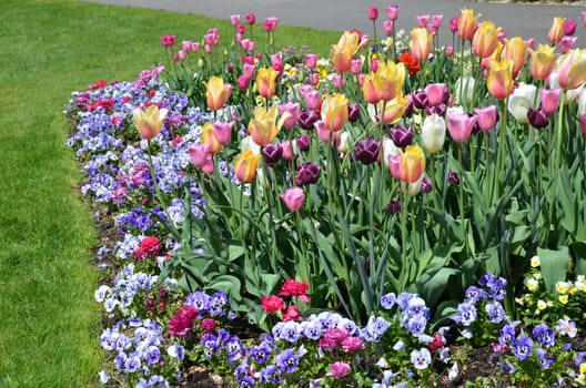 Flowerbed