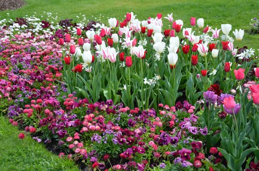 Flowerbed