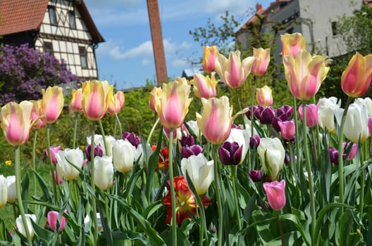 Flowerbed