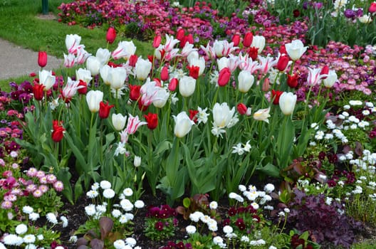 Flowerbed