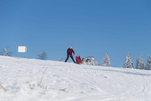 German Championship Sled Dog Race Frauenwald 2015