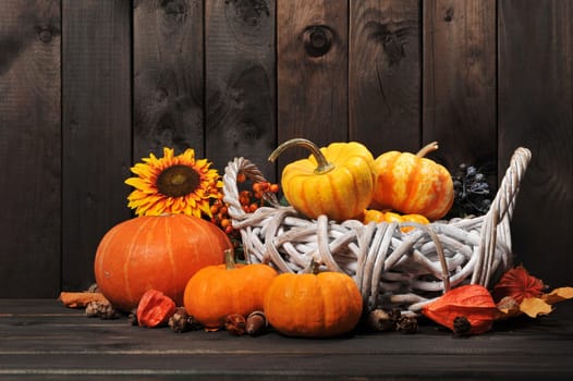 Thanksgiving - various pumpkins in a rattan basket in front of an old weathered wooden wall