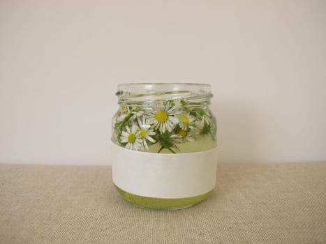 Homemade daisy tincture in a jar