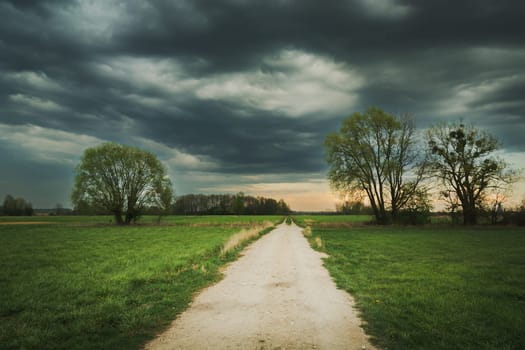 The road through meadows with trees and dark clouds, spring day