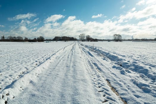 Snow-covered rural road and farmland, winter sunny day