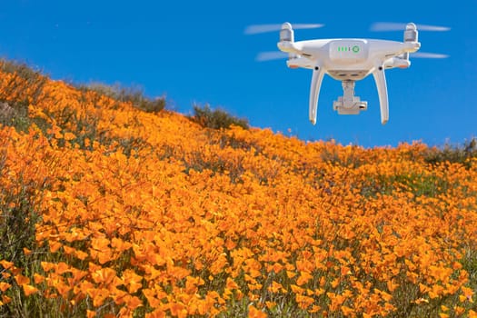 Drone Flying Above Seasonal California Poppies Bloom Landscape