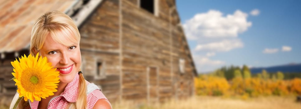 Beautiful Caucasian Young Woman Holding Sunflower In Front of Rustic Barn In The Country.
