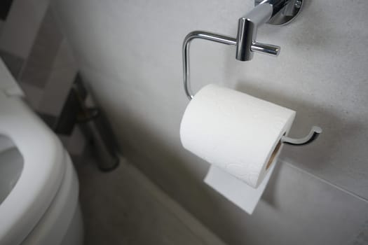 A bathroom features a silver toilet paper holder with fresh rolls.
