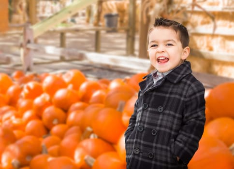Happy Biracial Boy Having Fun at the Pumpkin Patch Farm.